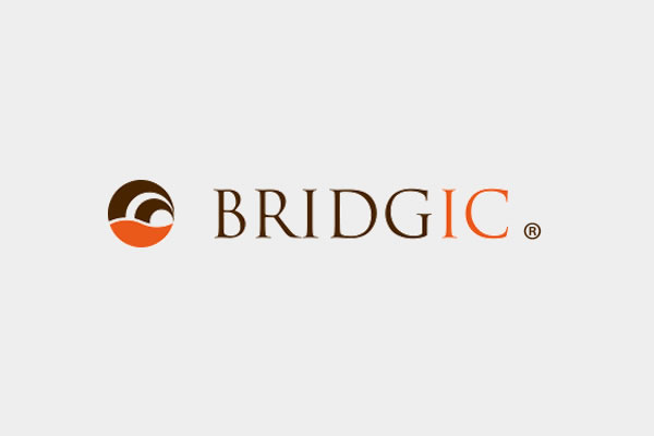 English version of the Bridgic website is now available.